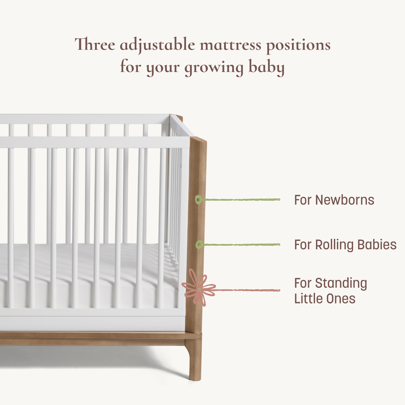 White crib with wooden sides and adjustable mattress positions labeled for newborns, rolling babies, and standing toddlers.