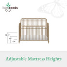 Little Seeds Ivy 3-in-1 Convertible Metal Crib - Gold