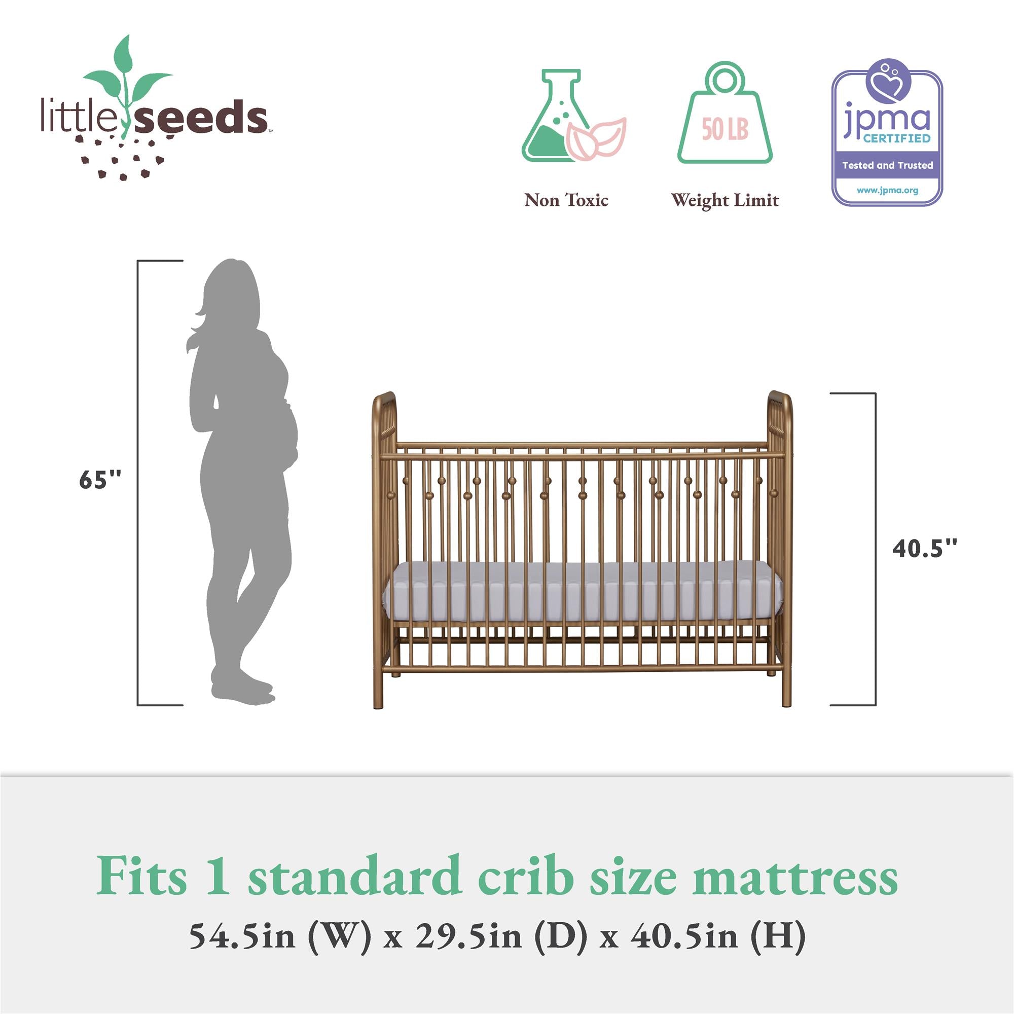 Little Seeds Monarch Hill Ivy Metal Baby Crib - Gold