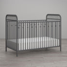 Little Seeds Monarch Hill Ivy Metal Baby Crib - Gray