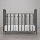 Little Seeds Monarch Hill Ivy Metal Baby Crib - Gray