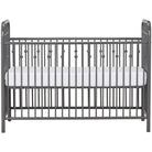 Little Seeds Monarch Hill Ivy Metal Baby Crib - Gray