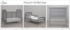 Little Seeds Monarch Hill Ivy Metal Baby Crib - Gray