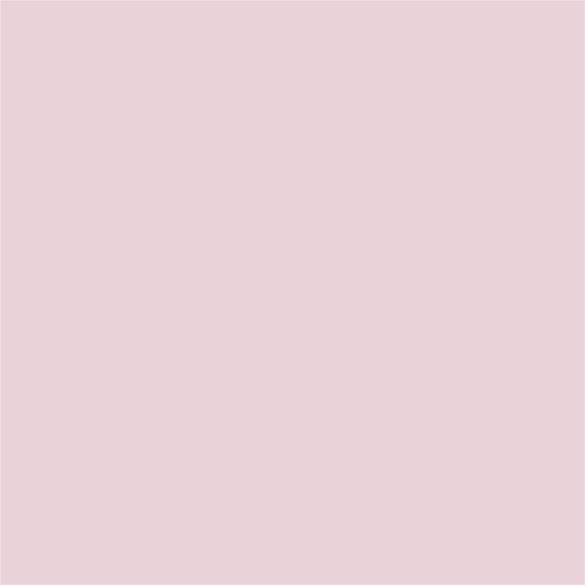 Little Seeds Monarch Hill Ivy Metal Toddler Bed - Pink