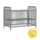 Little Seeds Monarch Hill Ivy Metal Baby Crib - Gray