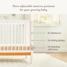 Clover 4-in-1 Convertible Crib - three adjustable mattress positions for your growing baby